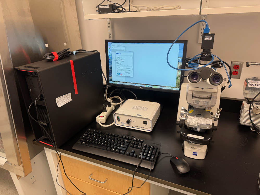 Image of Carl Zeiss AXI0 Inverted Microscope